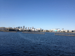 25101304.gif