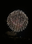 hanabi2.gif